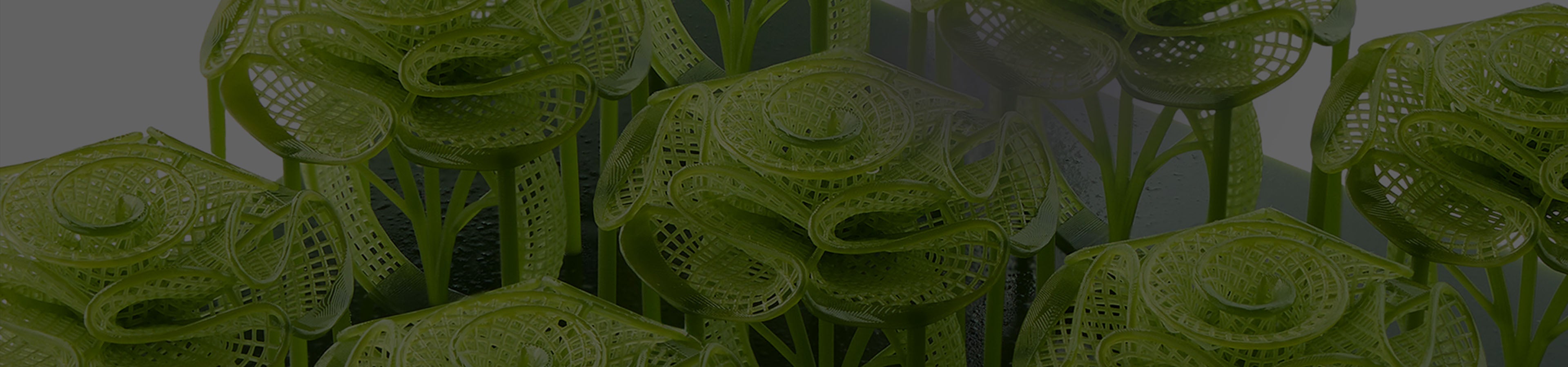 ANYCUBIC3D-FR