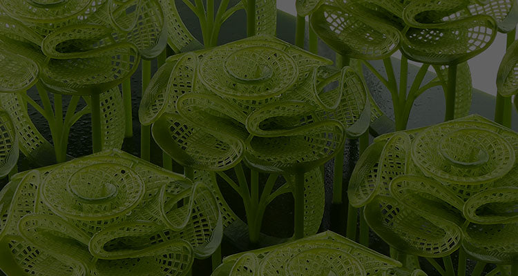 ANYCUBIC3D-FR