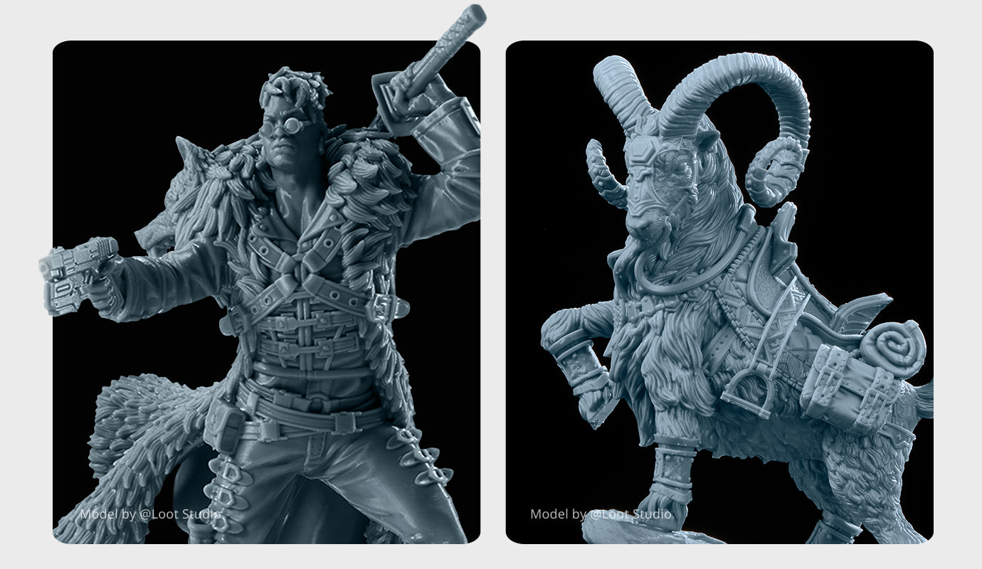 ANYCUBIC3D-FR