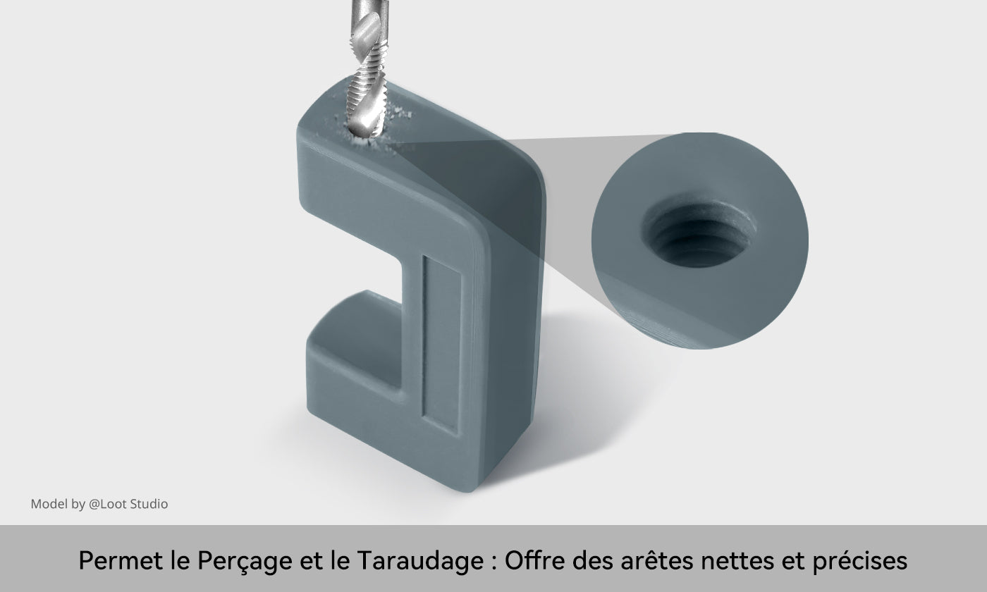 ANYCUBIC3D-FR