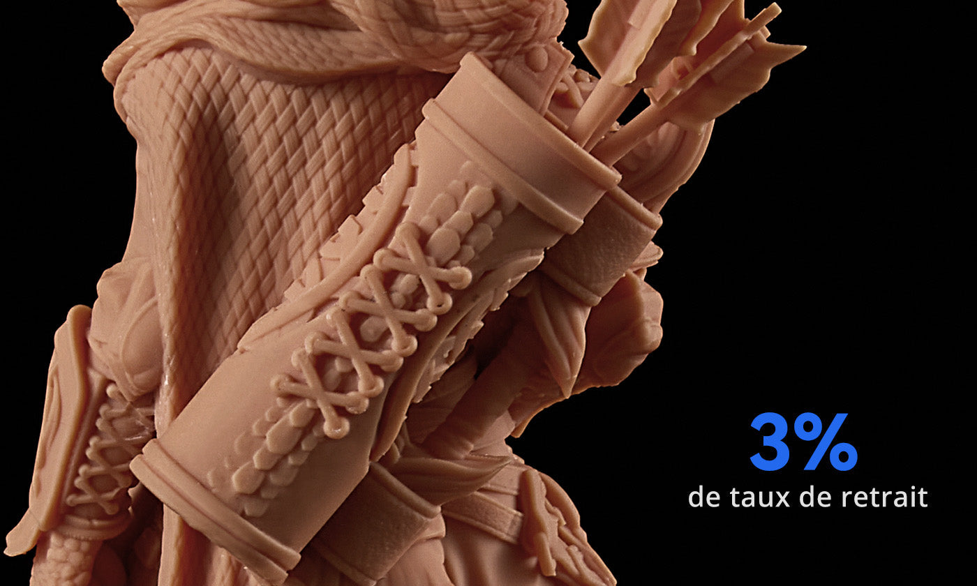 ANYCUBIC3D-FR