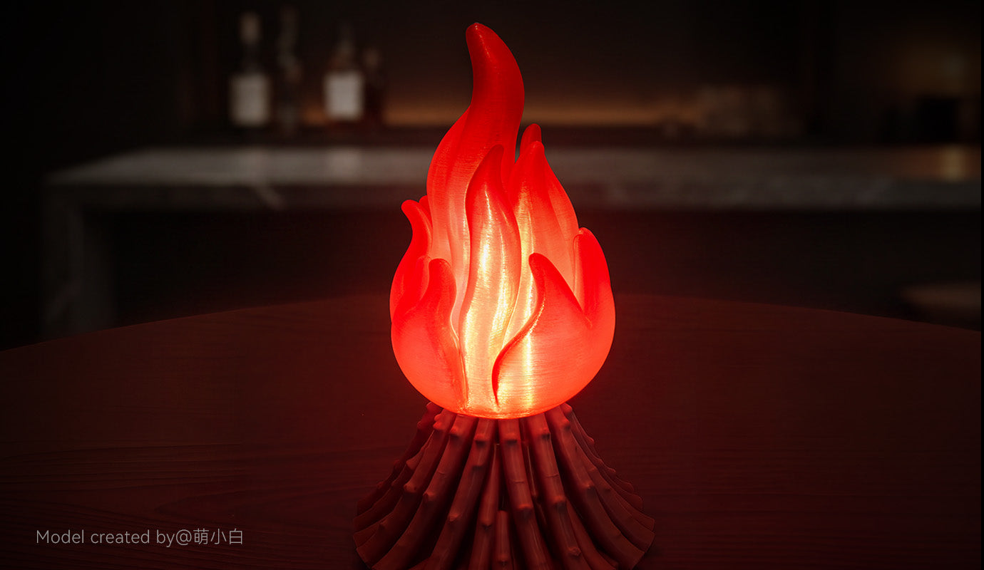 ANYCUBIC3D-FR