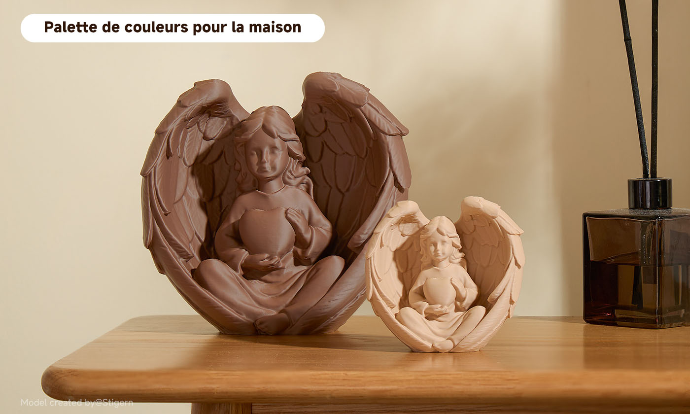 ANYCUBIC3D-FR