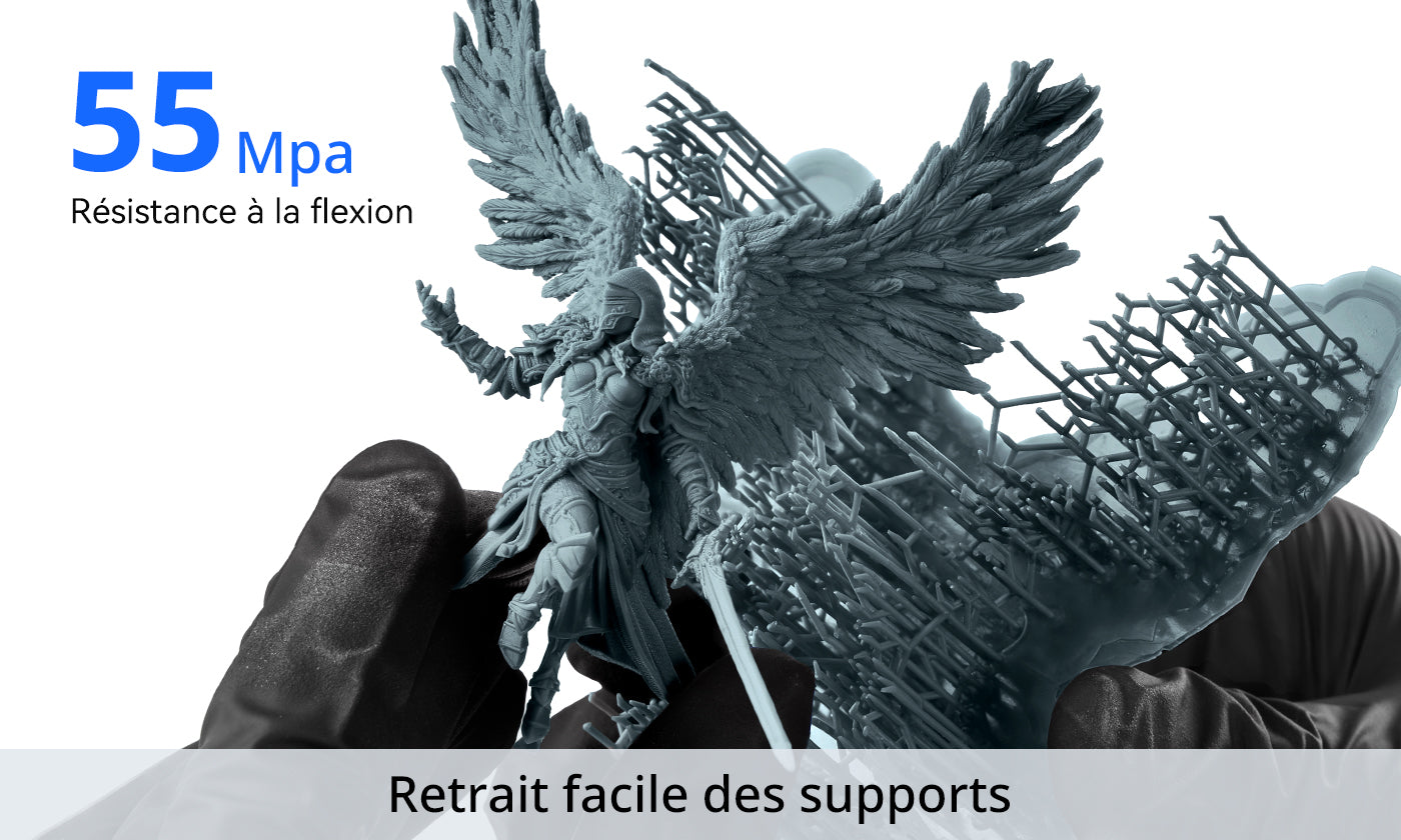 ANYCUBIC3D-FR