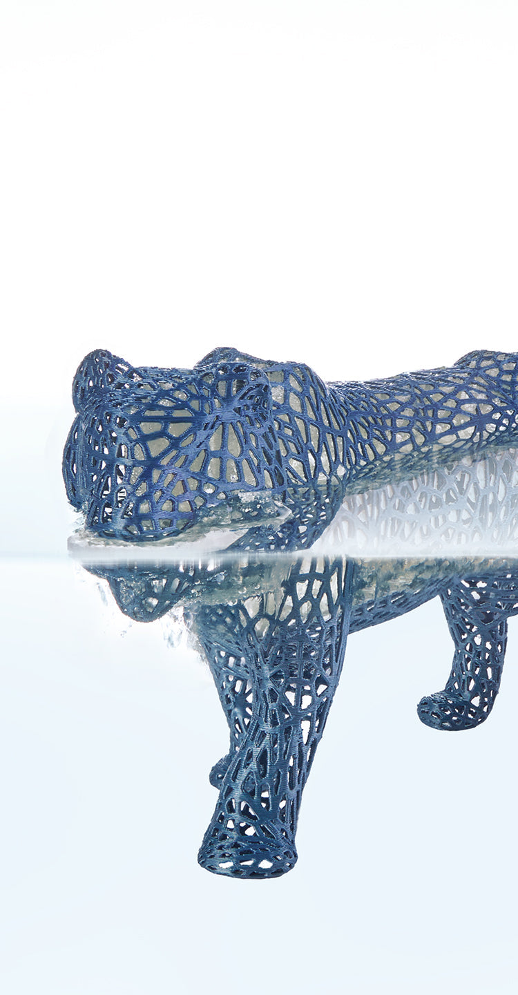 ANYCUBIC3D-FR
