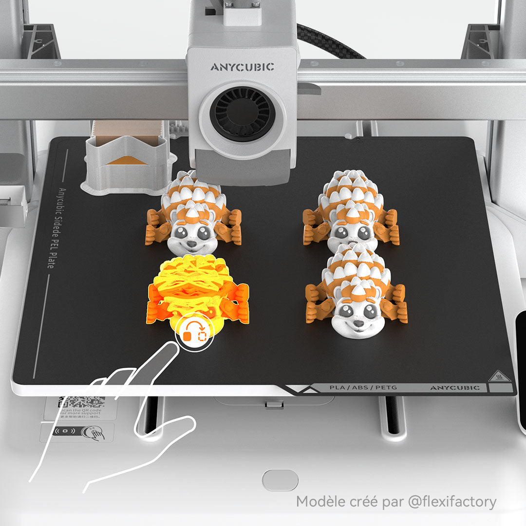 ANYCUBIC3D-FR