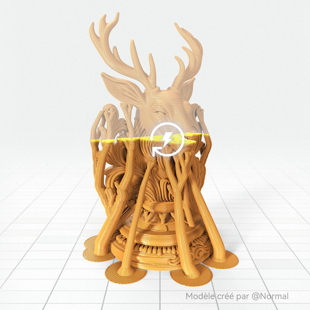 ANYCUBIC3D-FR