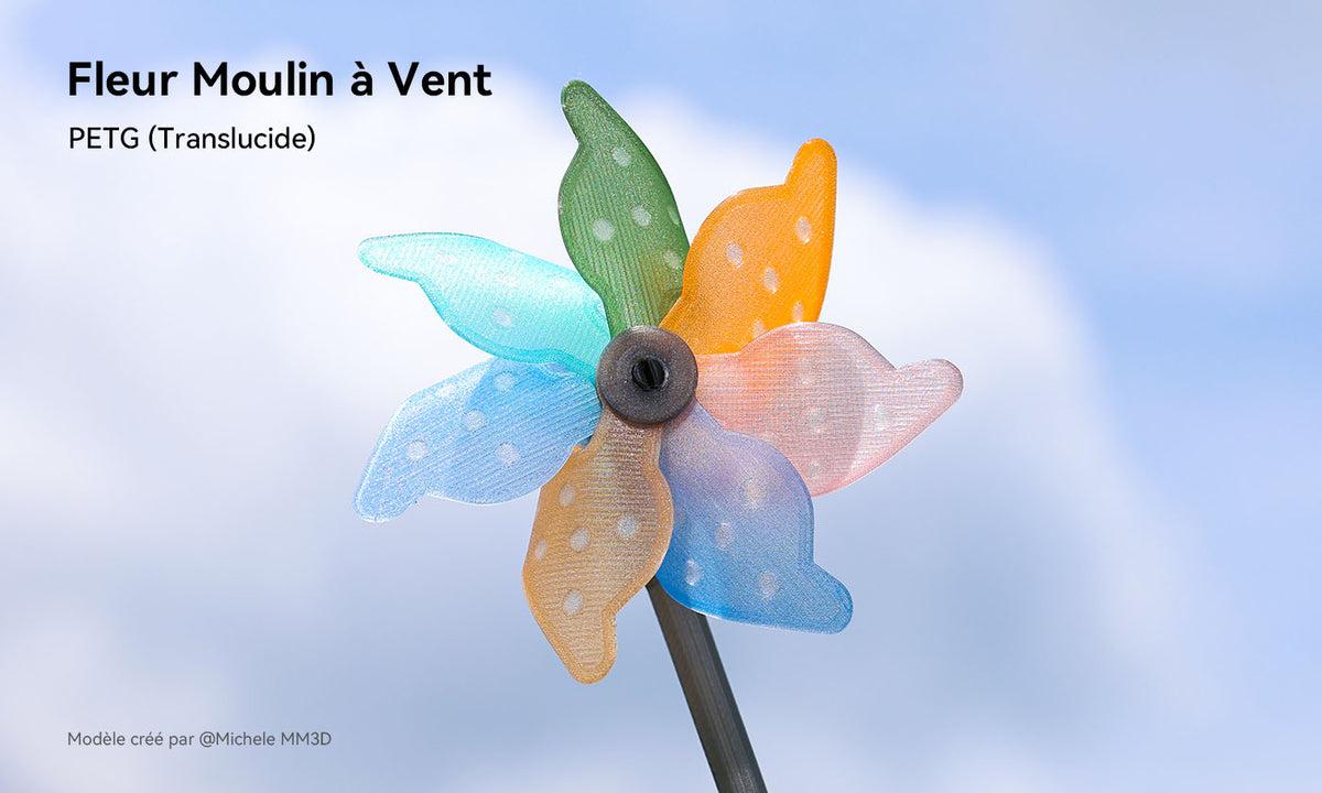 ANYCUBIC3D-FR