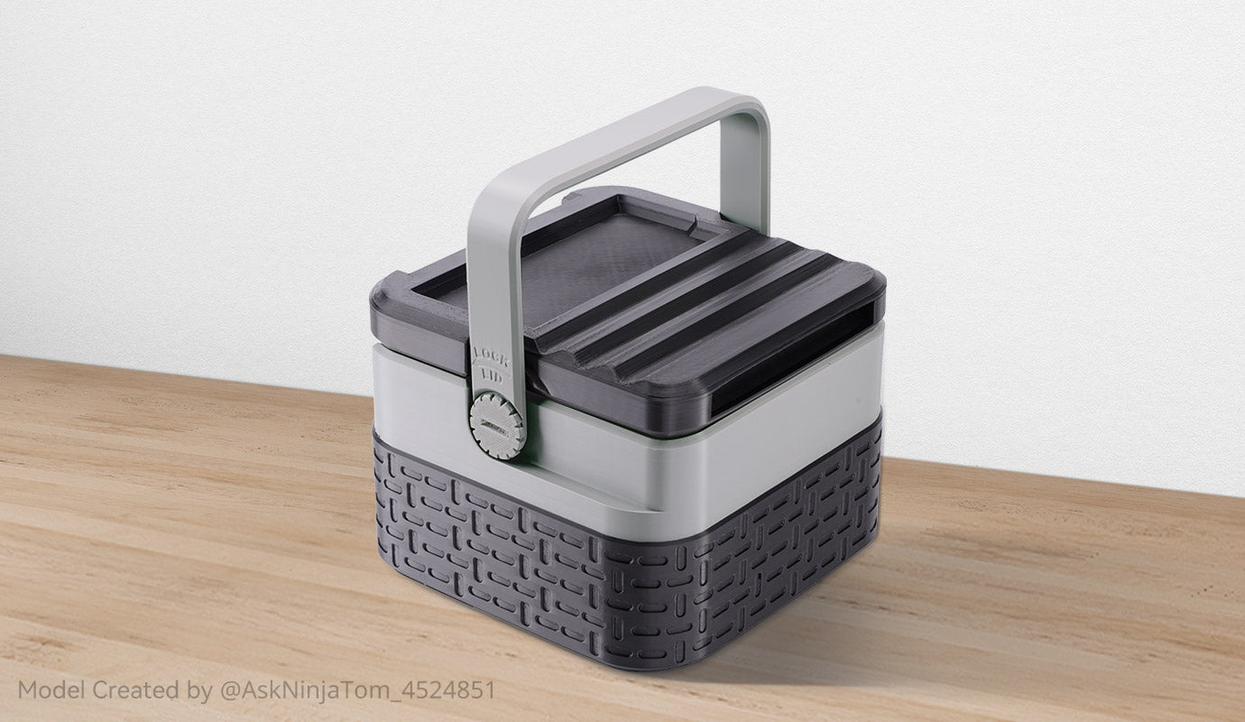 ANYCUBIC3D-FR