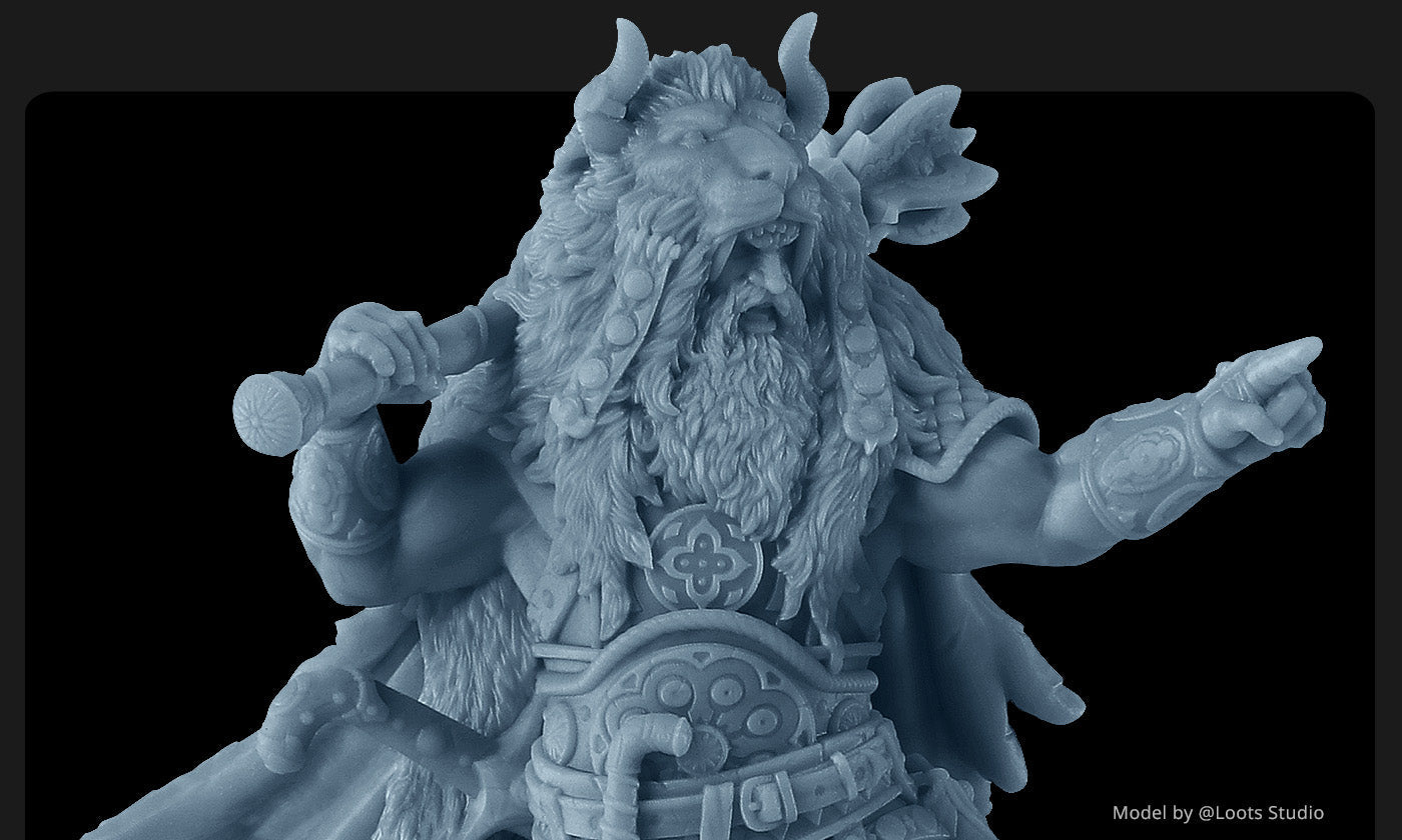 ANYCUBIC3D-FR
