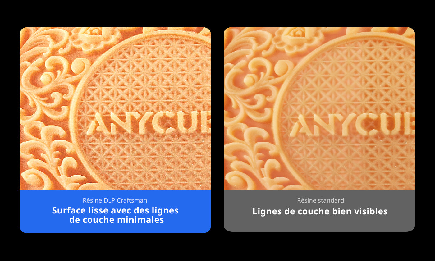 ANYCUBIC3D-FR