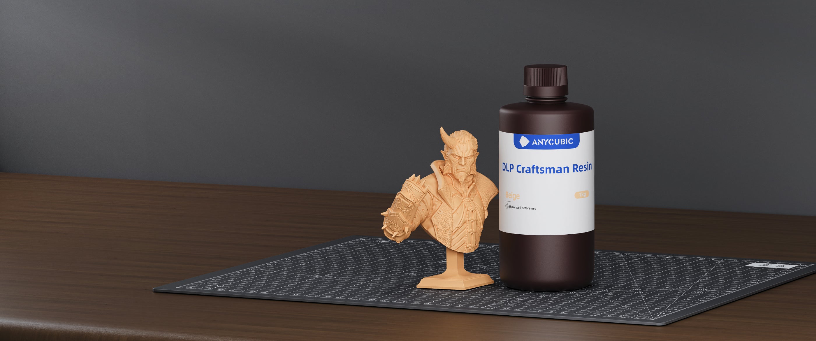 ANYCUBIC3D-FR