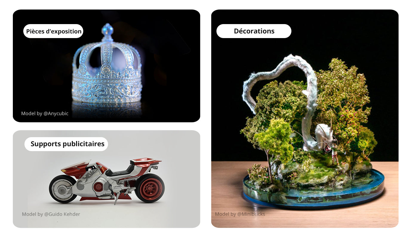 ANYCUBIC3D-FR