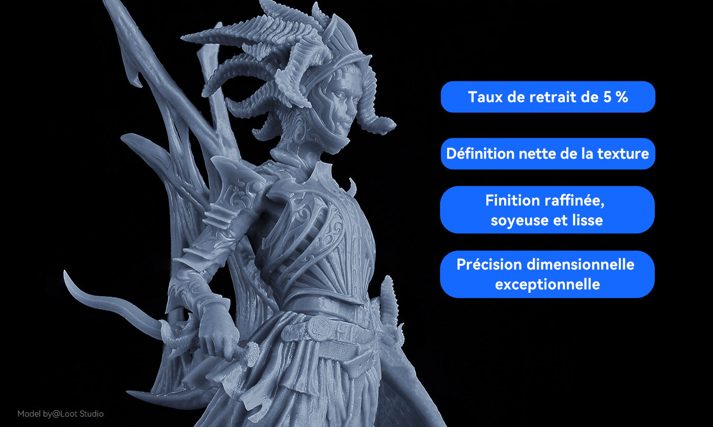 ANYCUBIC3D-FR
