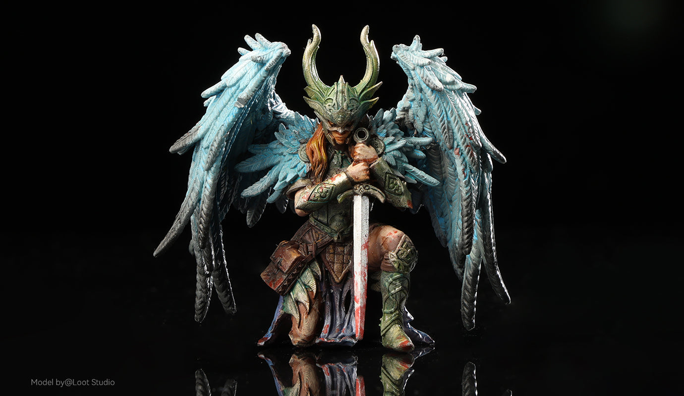 ANYCUBIC3D-FR