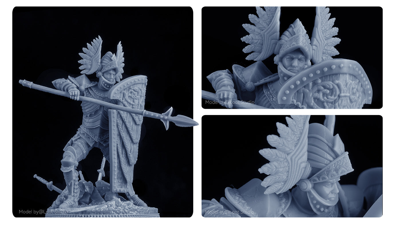 ANYCUBIC3D-FR
