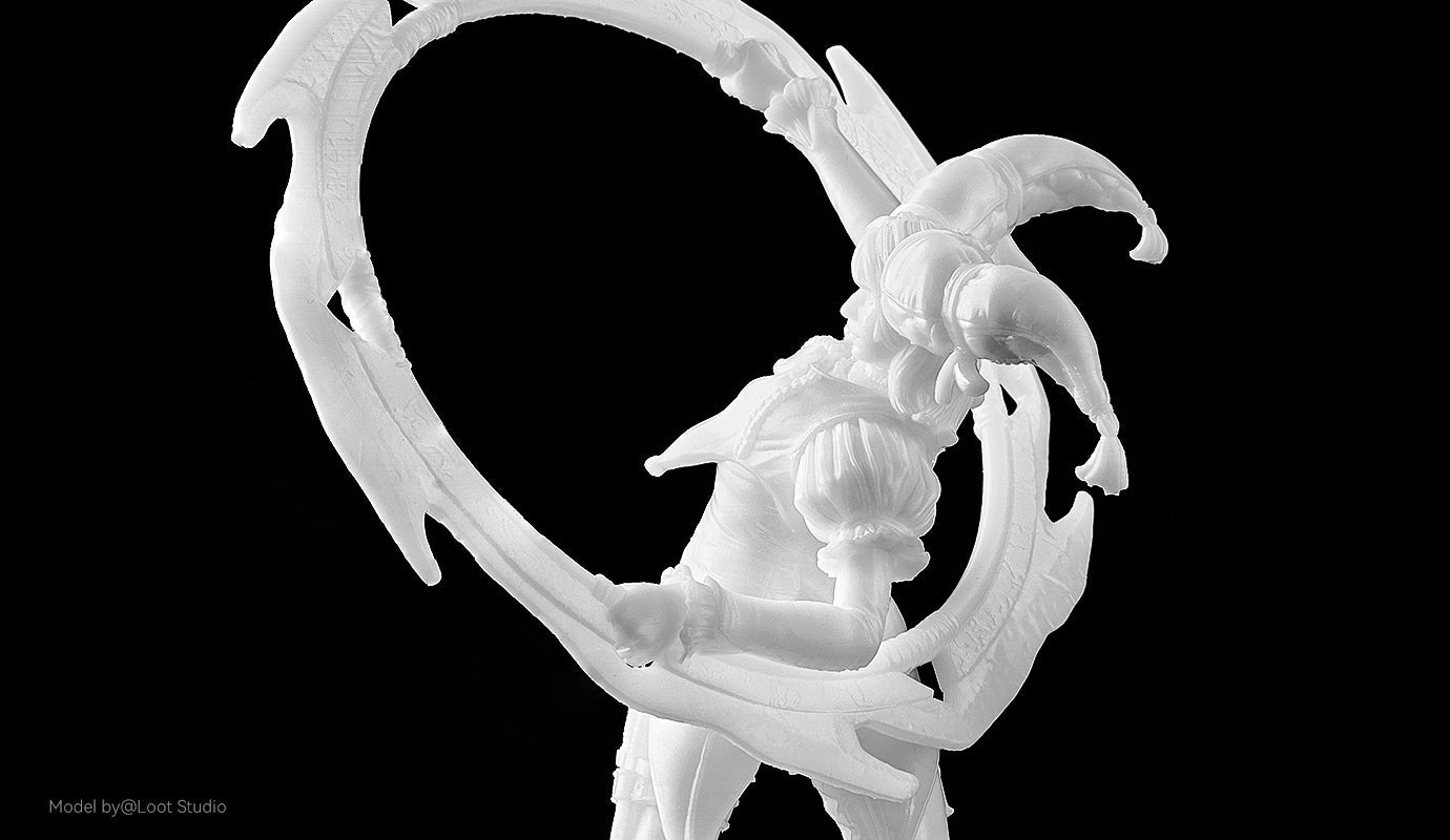 ANYCUBIC3D-FR
