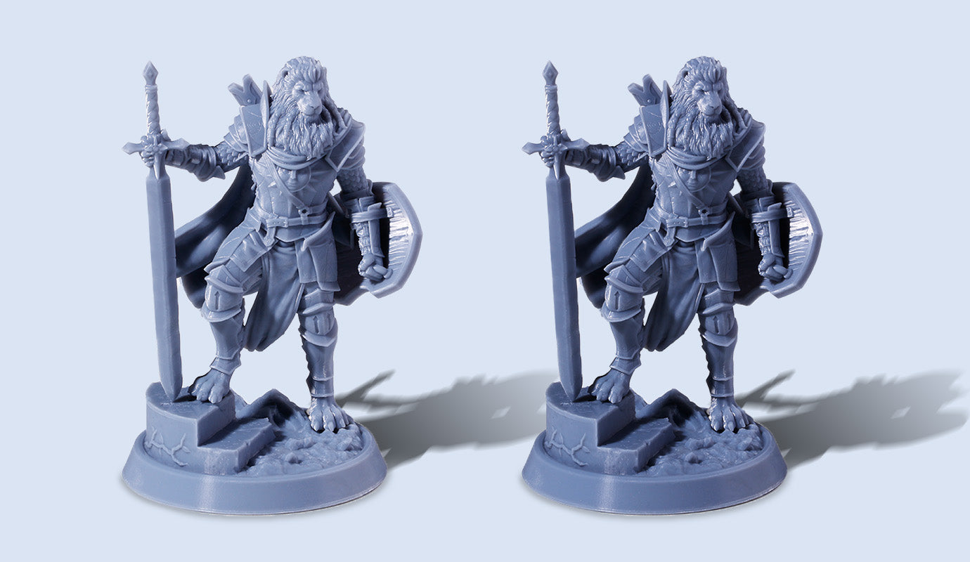 ANYCUBIC3D-FR