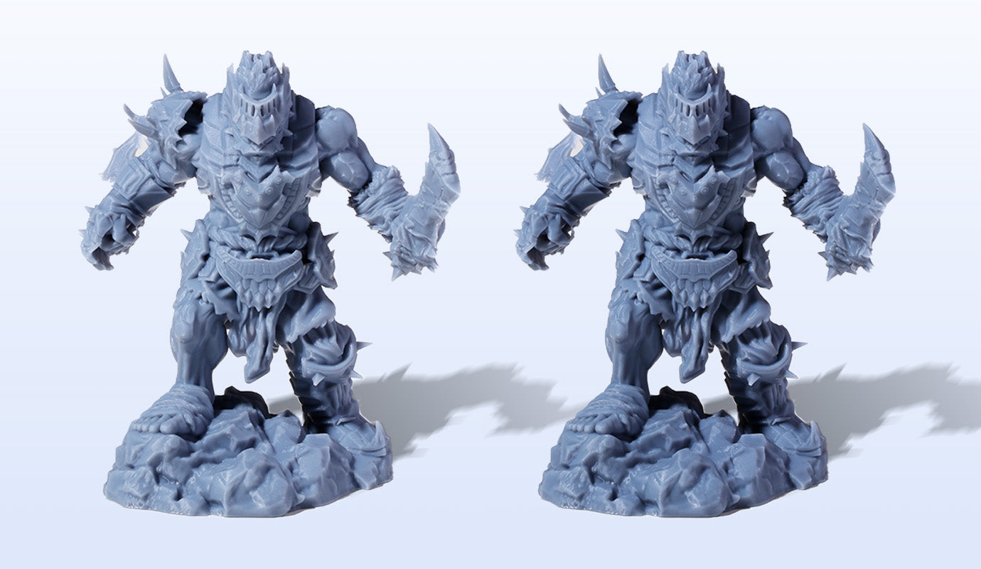 ANYCUBIC3D-FR